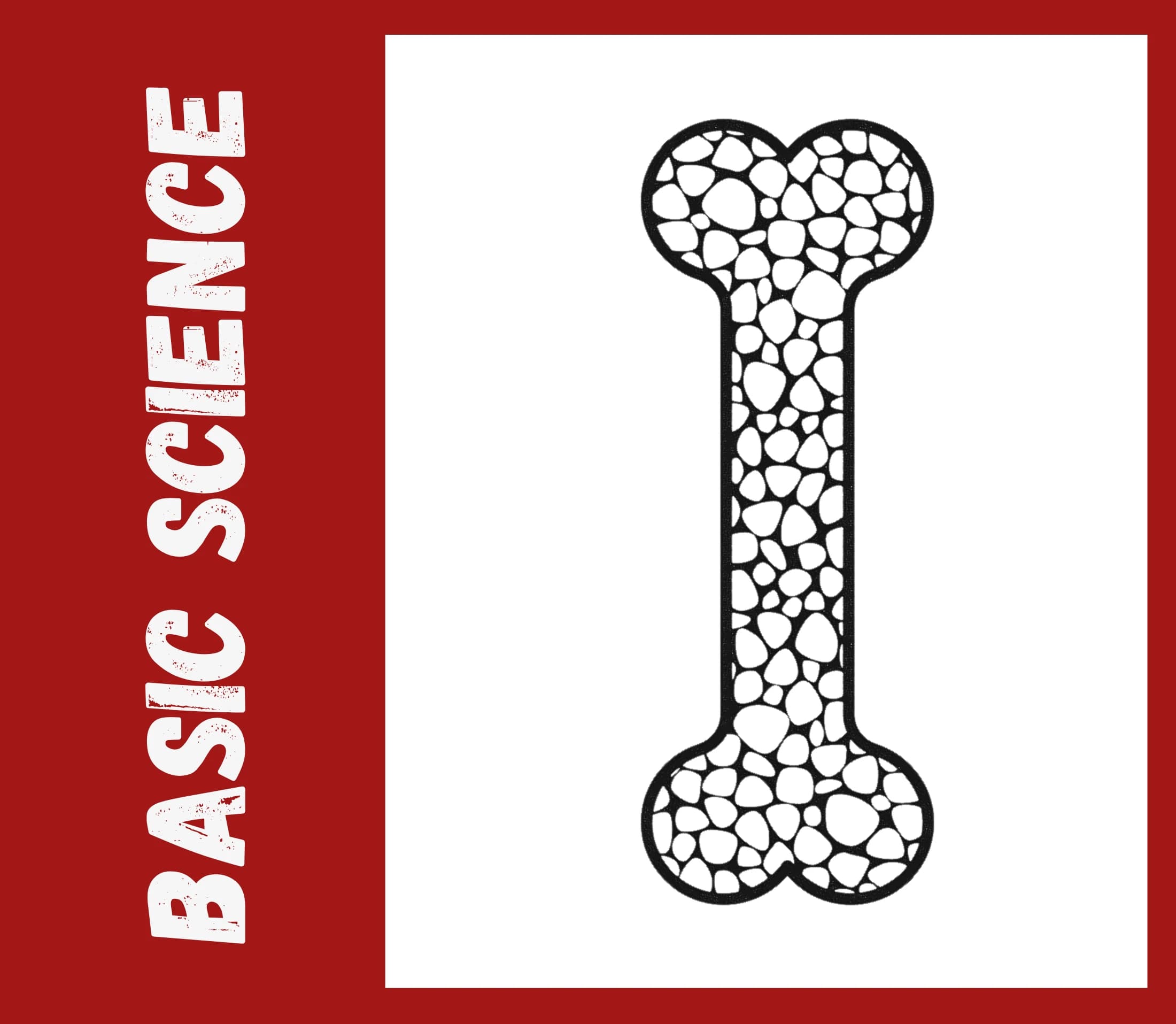 Basic Science Course