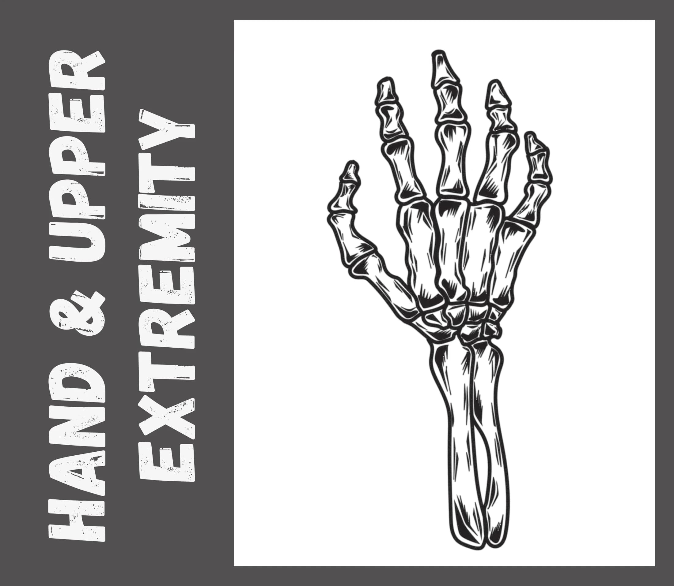Hand & Upper Extremity Course